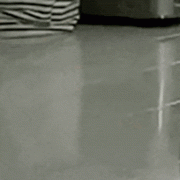 <b>Perplexity、Cursor等超等独角兽的</b>